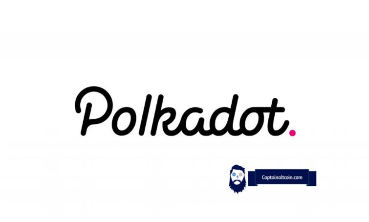 polkadot